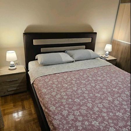 Aphrodite Apartment Podgorica Bagian luar foto