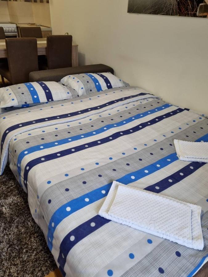 Aphrodite Apartment Podgorica Bagian luar foto